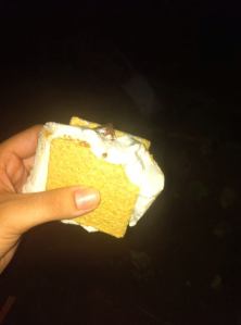 Gooey marshmallow + chocolate + graham crackers = delicious!